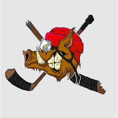 HOCKEY ROMORANTIN